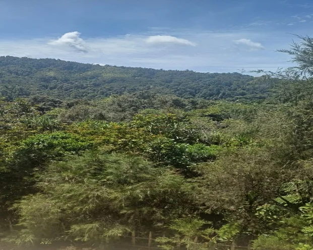 Green highlands landscape near Meiyonda Eco Lodge