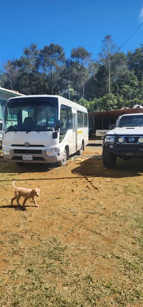 Lodge transport